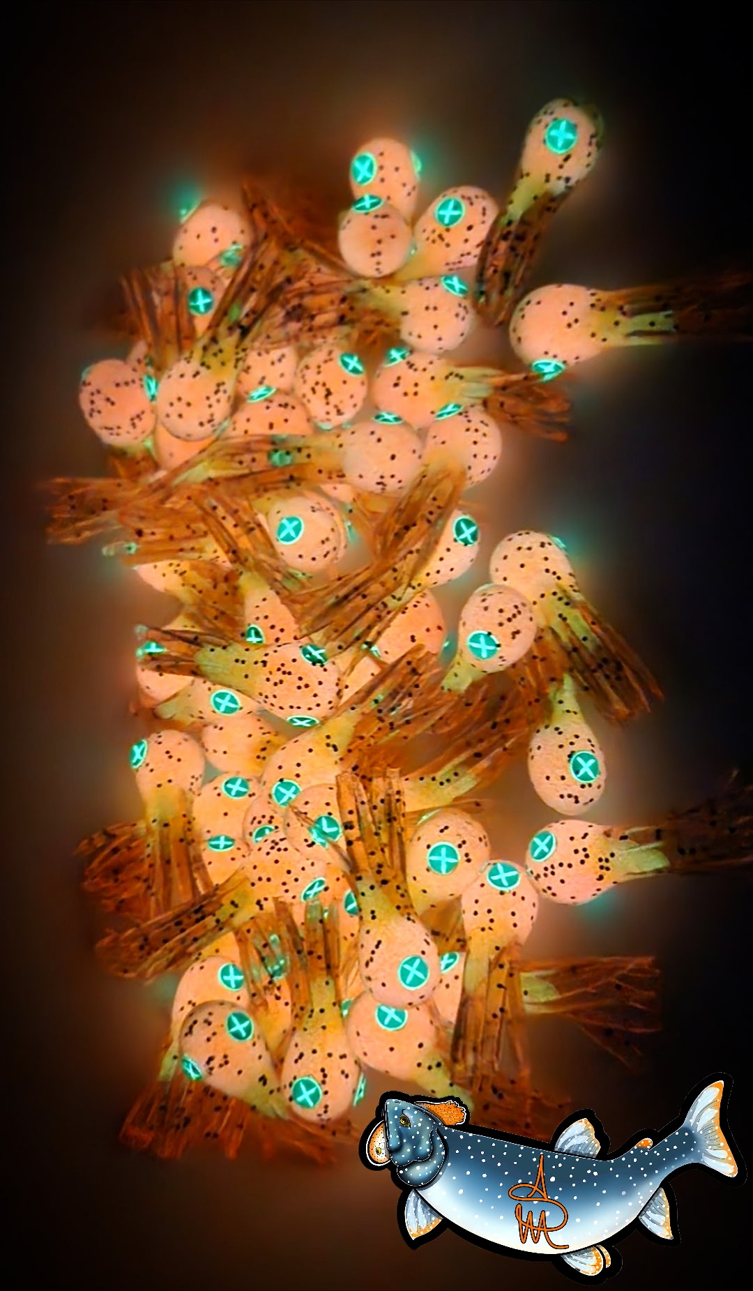 Mysis Shrimp - WR